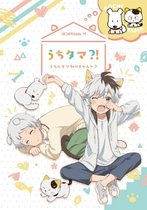 انمي Uchi Tama?! Uchi no Tama Shirimasen ka? الحلقة 5 مترجمة